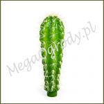 Big Heat Cactus